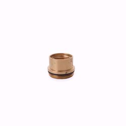 Picture of Abode Gresham Brass Bush SP3886